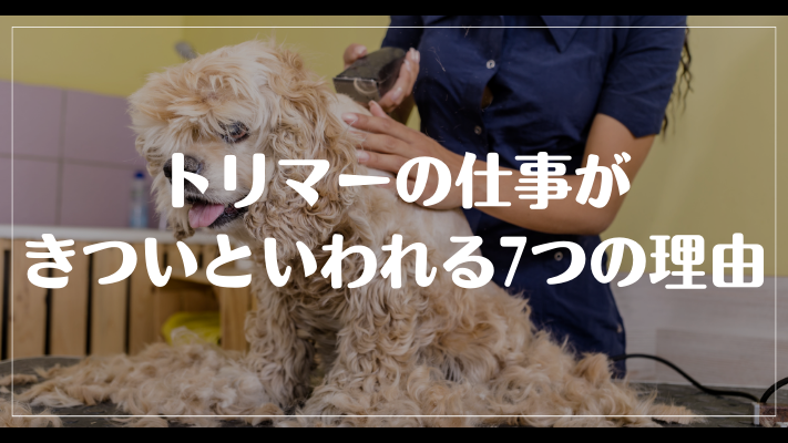 トリマーの仕事がきついといわれる7つの理由