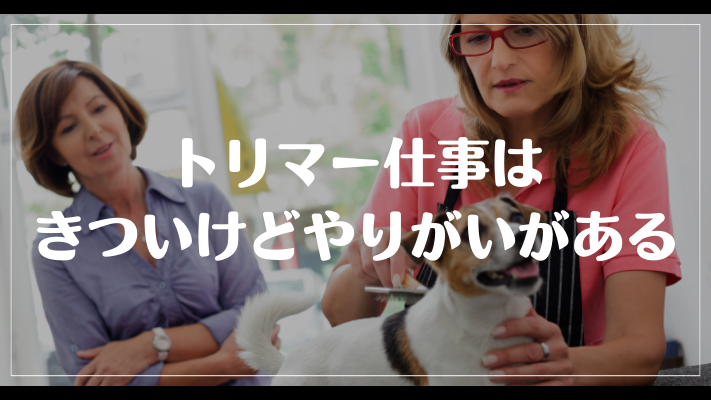 トリマー仕事はきついけどやりがいがある