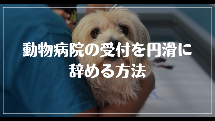 動物病院の受付を円滑に辞める方法