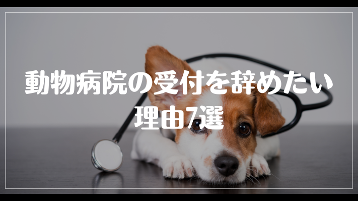 動物病院の受付を辞めたい理由7選